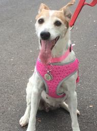 32512075_10160427158115584_7839125565075357696_n